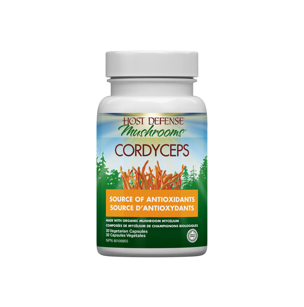 Cordyceps Capsules