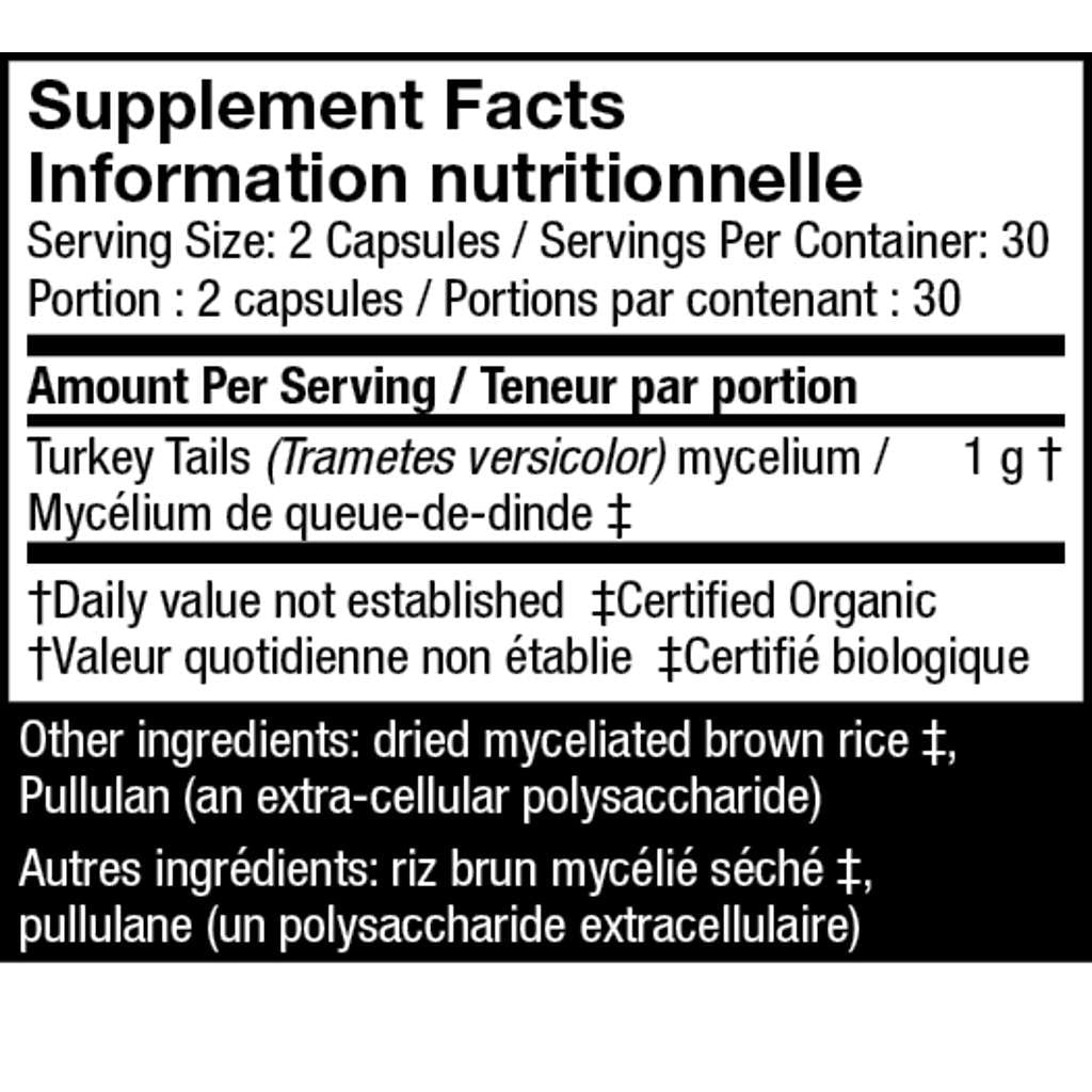Gélules de Tramète Versicolore