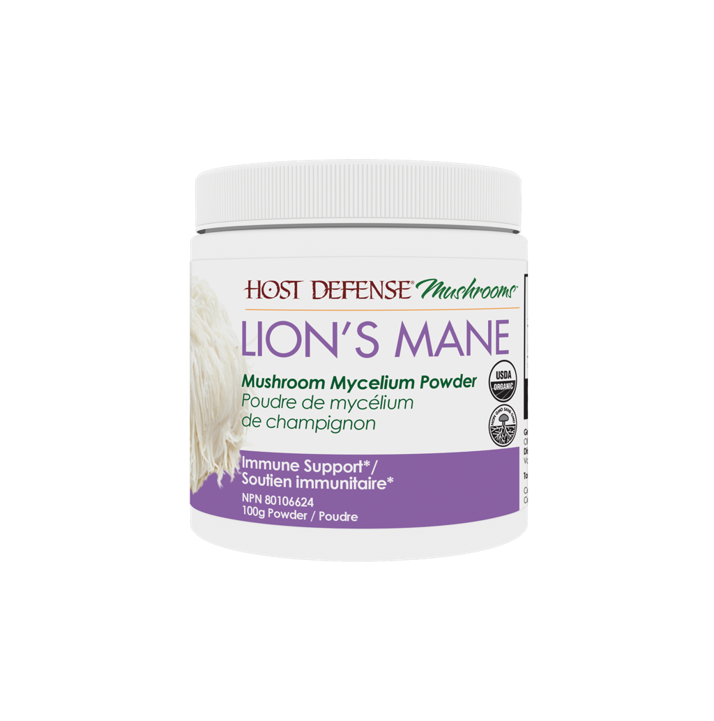 Poudre de mycélium de crinière de lion