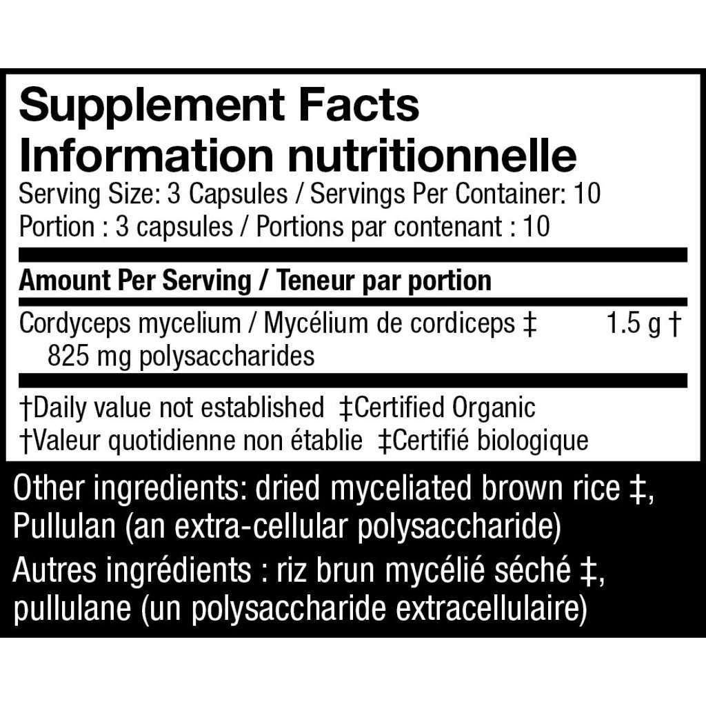 Cordyceps Capsules