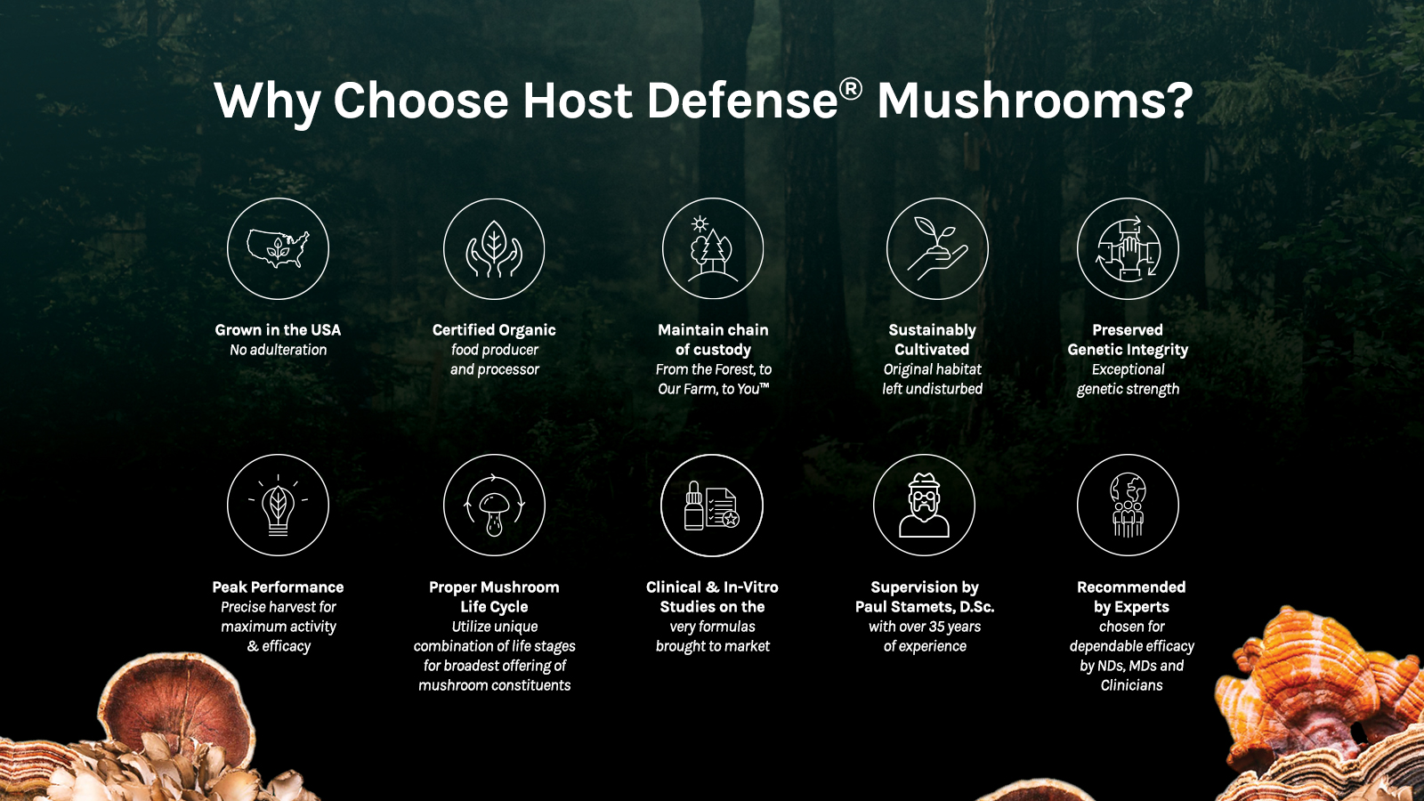 Why take a mushroom for health benefits chart 
