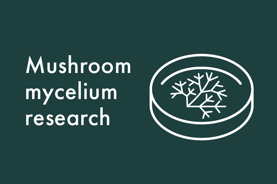 mycelium research